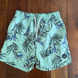 Ron Jon Green and Blue Board Shorts Tropical Design